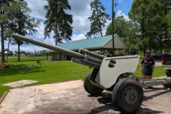 Artillery on Display