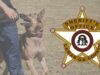 Lamar County Arrest Report; May 29–June 4, 2026