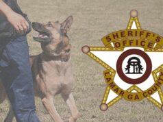 Lamar County Arrest Report; May 29–June 4, 2026