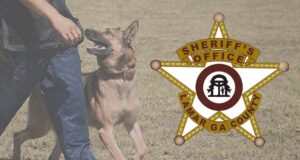 Lamar County Arrest Report; May 29–June 4, 2026