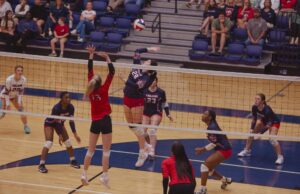 Lamar Volleyball Advances, Will Host in 2nd Round Saturday