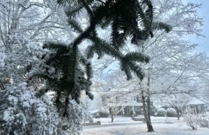 Lamar County Prepares for Second Weekend of Winter Weather